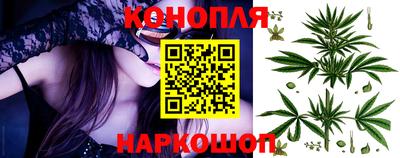 скорость Новозыбков