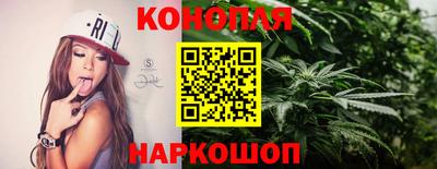 МДПВ Новодвинск