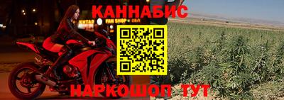 скорость Новозыбков