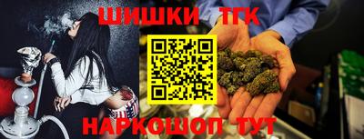 МДПВ Новодвинск