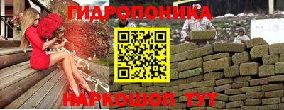 скорость Новозыбков