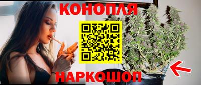 МДПВ Новодвинск
