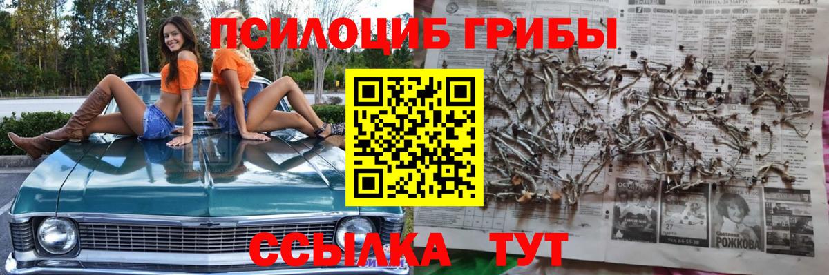 Псилоцибиновые грибы Cubensis  Галлюциногенные грибы ЛСД  Скопин  Вход с VPN 